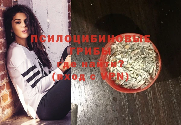 PSILOCYBIN Алзамай