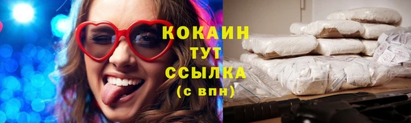 PSILOCYBIN Алзамай