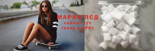 PSILOCYBIN Алзамай