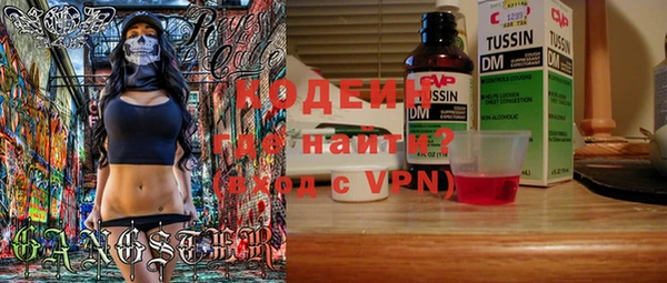 PSILOCYBIN Алзамай