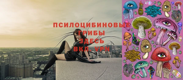 2c-b Алексеевка